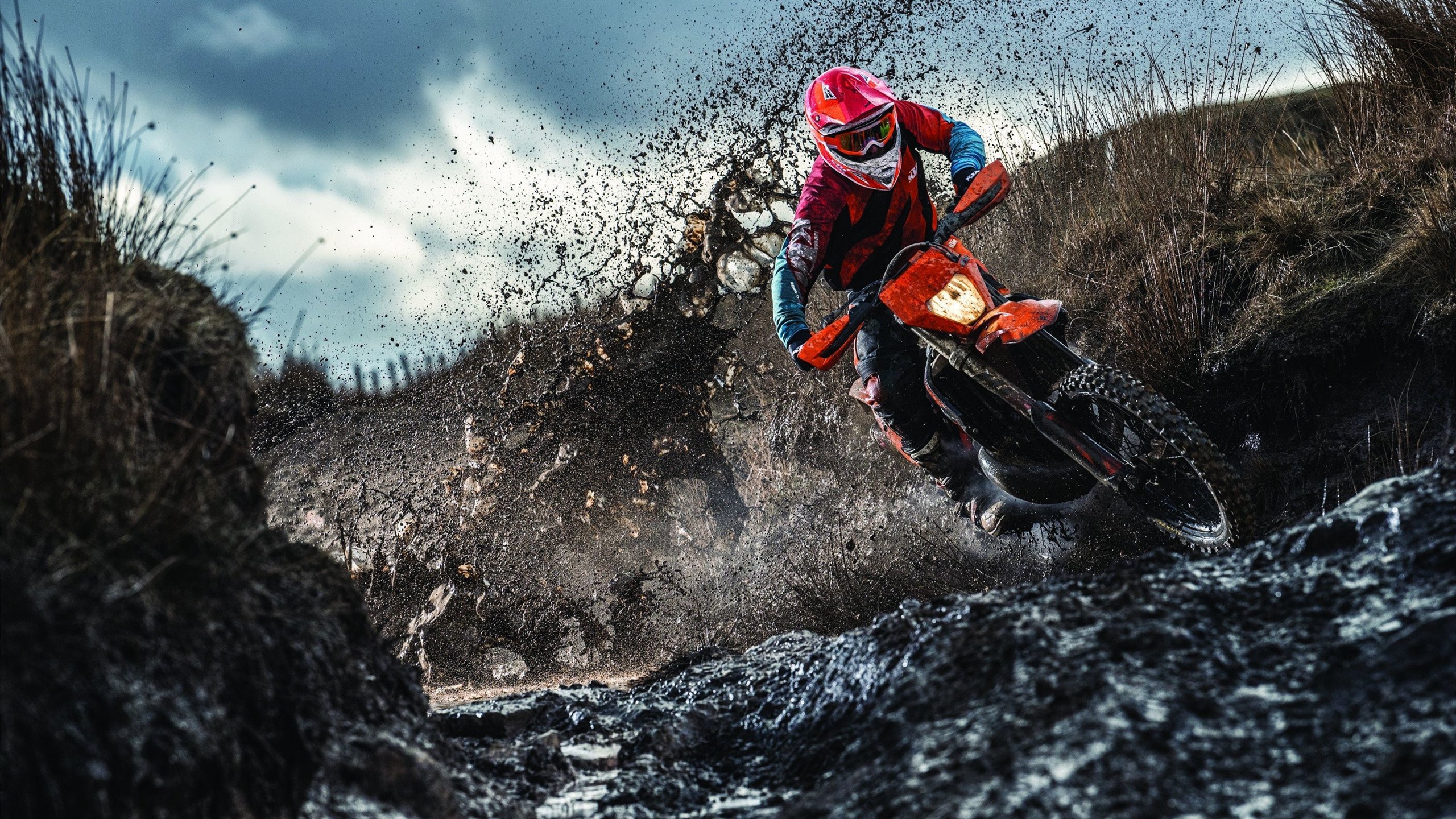 蝶泳新星闪耀全国锦标赛，破纪录表现引爆泳坛