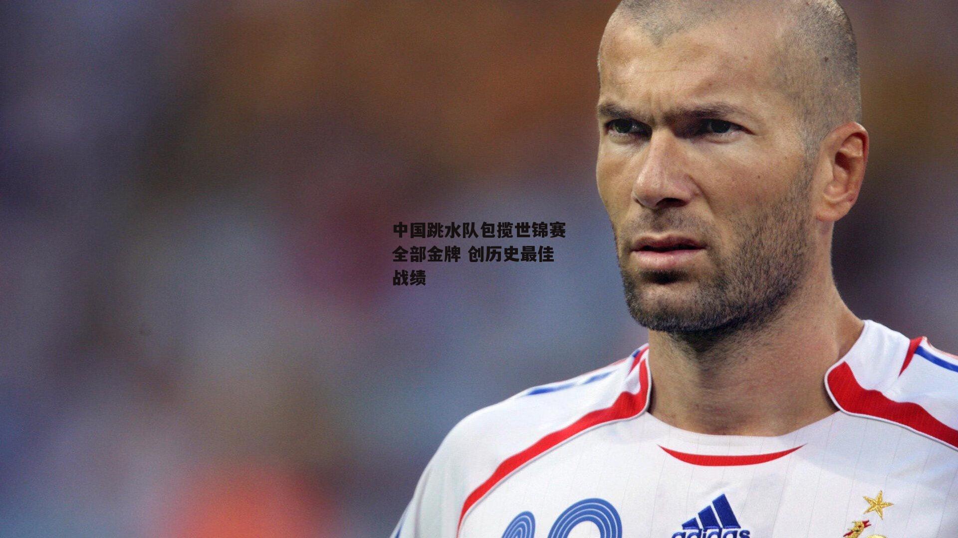 中国跳水队包揽世锦赛全部金牌 创历史最佳战绩