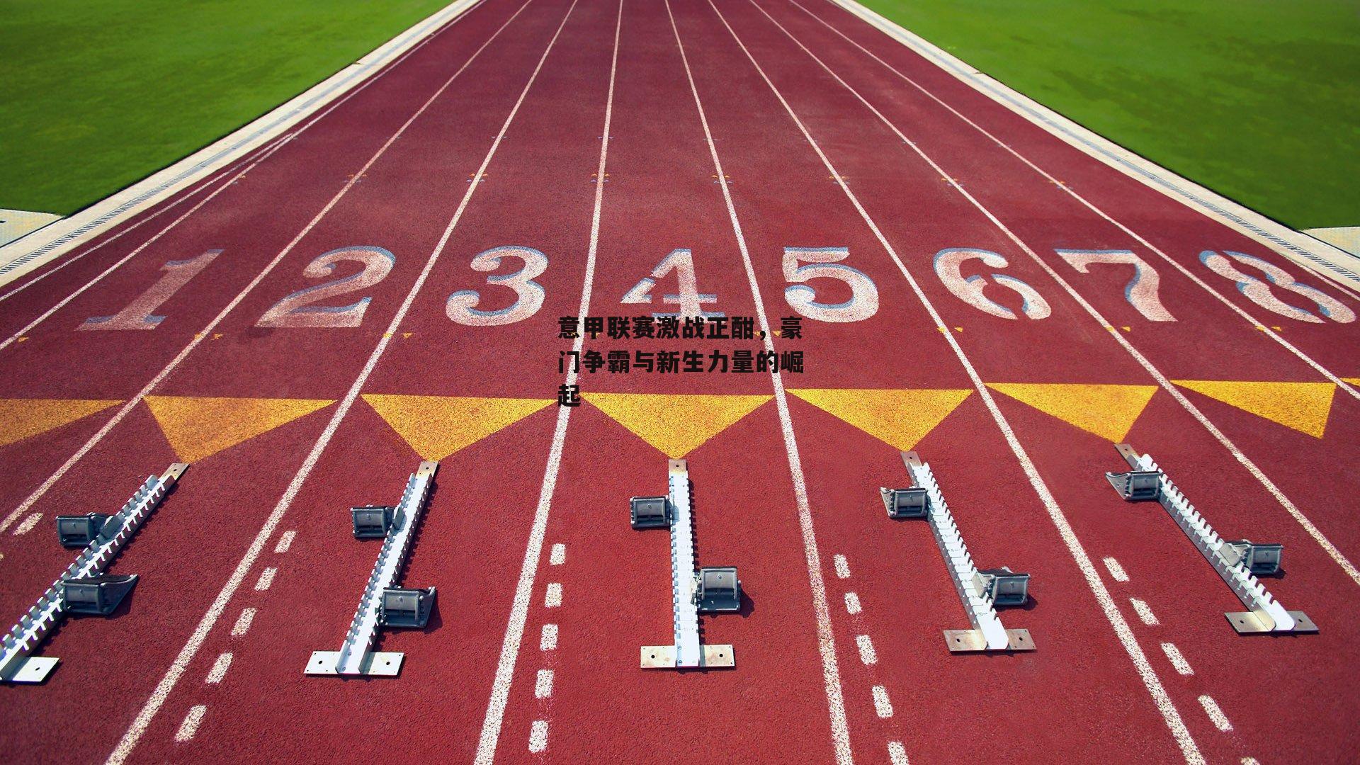 意甲联赛激战正酣,豪门争霸与新生力量的崛起